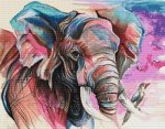 (image for) Elephant